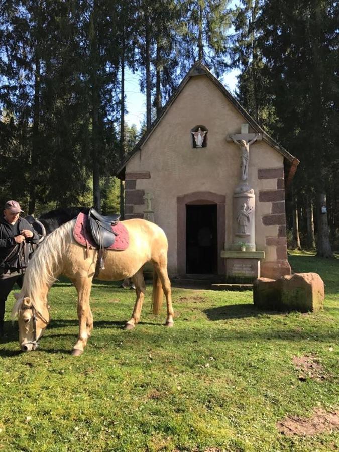 Villa Maria Petit-Réderching Buitenkant foto